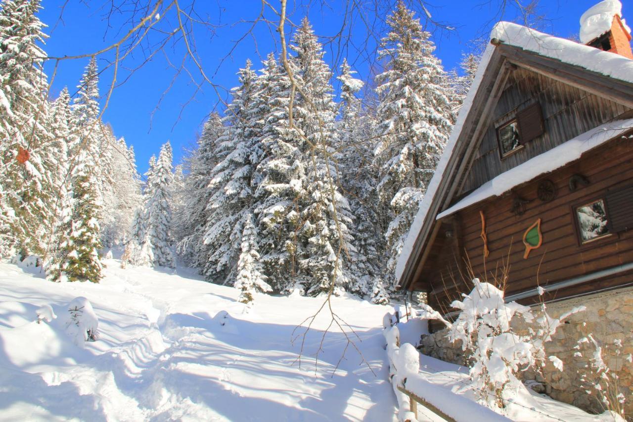 B&B Pod Skalo Kamnik Exterior foto